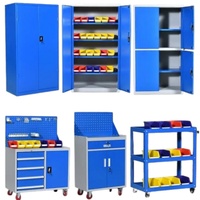 Armoire de fabrication de tôle robuste avec armoire à outils de boîte de rangement de pièces en plastique de garage retirables
