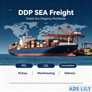 Transitaire DDP à faible coût vers l'Algérie, acceptant les produits liquides, en poudre et de santé (batteries incluses), livraison porte-à-porte - Product Image 5