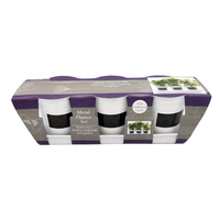 Fournitures de jardinage peintes 3PCS Mini pots de fleurs et jardinière de couleur vive avec plateau en métal Autocollant noir Écrire des mots Seau succulent