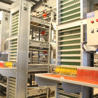 Cage d'élevage de poules pondeuses de type H, automatique, en plastique, nouvelle, de haute qualité, grande taille, galvanisée à chaud