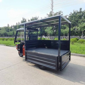 Off Road Farm Adult High Quality 3 Wheel Utility Trike Motorcycle Delivery Solar Tricycle 2000W - Product Image 4