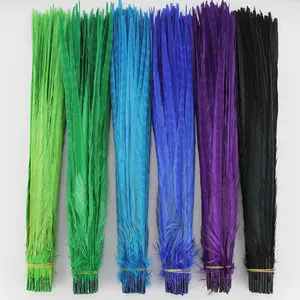 40-50 cm Bleach dyed wholesale plumage of pheasant tail for Christmas Carnival feather decoration