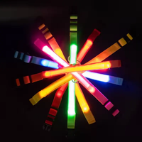 Collier lumineux pour chien rechargeable par USB, en nylon, clignotant, lumineux, sécurité nocturne, collier pour animaux de compagnie, lumineux dans le noir, collier LED pour chien