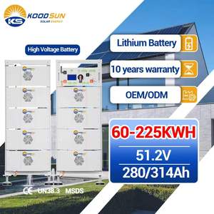 Sistema <span class=keywords><strong>de</strong></span> Baterías en Rack <span class=keywords><strong>de</strong></span> Alta Calidad Koodsun <span class=keywords><strong>de</strong></span> Alto Voltaje 51.2V 314Ah para Impulsor <span class=keywords><strong>de</strong></span> Autocarga Solar C&I - Product Image 1