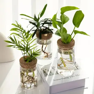 YOLOWE HOME Vase de plantes d'intérieur hydroponiques élégant de 10cm Bouteille de table en verre transparent avec forme de bouteille unique pour plantes d'intérieur