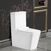 Sanitaires en porcelaine chinoise, WC en céramique moderne, cuvette de toilette sans bride, chasse d'eau en une seule pièce pour salle de bain