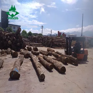 Plancher en bois massif de chêne pour plancher