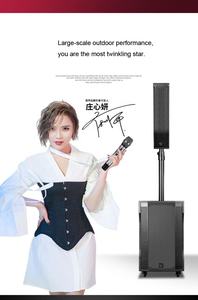 12 " / 15" linea di frequenza binaria a bassa frequenza 80Hz-20KHz professionale alimentato linea Array altoparlanti attivi GZ fabbrica - Product Image 2