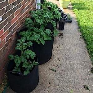 Pot de culture biodégradable en géotextile sac de pépinière pour plantation d'arbres 1 2 3 5 <span class=keywords><strong>7</strong></span> 10 pot de culture en tissu de 15 gallons pour légume - Product Image 5