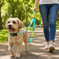 Ensemble collier et laisse pour chien, motif bohème moderne et mignon, imprimé tribal géométrique assorti, réglable, en nylon tissé, doux et durable, pour petits chiens