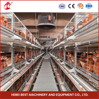 Ensemble d'équipements d'élevage avicole entièrement automatique de type H pour la ponte des œufs, dimensions de la batterie pour système de cage à poules pondeuses de 50 000 poulets