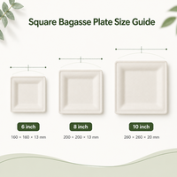 Assiette carrée blanche jetable en bagasse de canne à sucre, compostable et biodégradable, pour la restauration de mariage