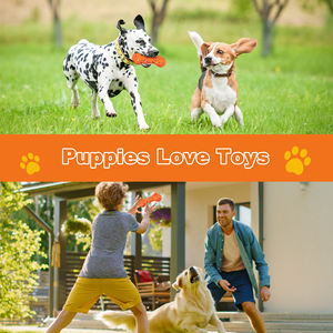 Üretici OEM çevre dostu ETPU oyuncak köpek kemik dayanıklı yıkılmaz köpek oyuncak agresif Chewer için interaktif Pet güvenli oyuncak - Product Image 6