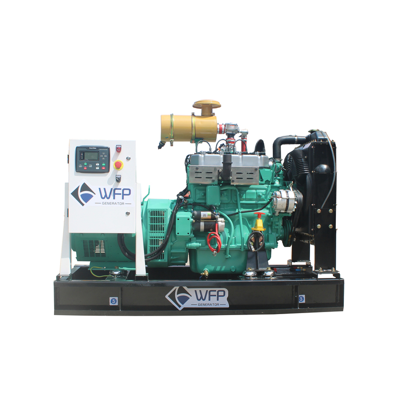25kw Natural Gas Generator Gas Turbine