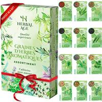 Kit de 12 variétés de graines de plantes aromatiques cadeau pour adultes enfants débutants et jardiniers-menthe basilic origan pour jardins extérieurs