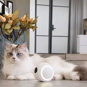 جهاز مراقبة الحيوانات الأليفة الأوتوماتيكي الذكي من OEM، كرة سيليكون ذكية كرفيق للحيوانات الأليفة مع كاميرا متنقلة وتطبيق للتتبع والتسجيل الآمن - Product Image 3