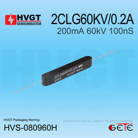 HVGT 2CLG60KV/0.2A Assemblage de redresseur en silicium haute tension 200mA 60KV 100nS Alimentation haute fréquence certifiée SGS/RoHS