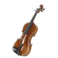 Violon professionnel taille haute pour violon professionnel, livraison gratuite, accessoires de qualité supérieure