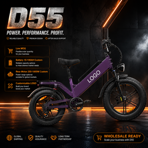 จักรยานไฟฟ้าส่งของ D55 ขนาด 20 นิ้ว ยางอ้วน 1000W มอเตอร์ดุมล้อหลัง รุ่น E-MTB OEM แบบกำหนดเองสำหรับธุรกิจส่งของในเวียดนาม - Product Image 1
