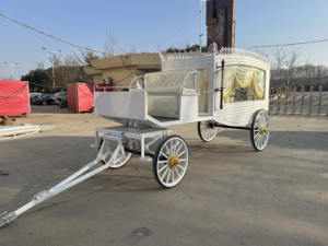 Coche Fúnebre Eléctrico, Carruaje de Ataúd de Lujo Dorado, Carroza Fúnebre en Venta - Product Image 2