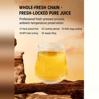 Yacon Sap Inhoud 100% NFC Contract Productie Aangepaste White Label MOQ FOB Export Drank China 190mL Tuit