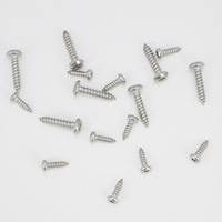 100 pièces/sac 304 goupille en acier inoxydable à tête ronde Torx anti-vol vis taraudeuse inviolable M2 M2.3 M2.6 M3 M3.5 M4 M5 M6 M8