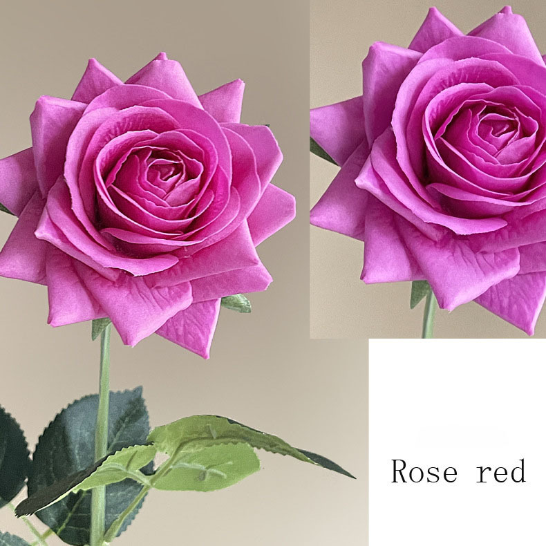Rosa intenso