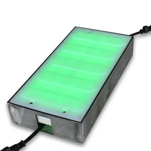 Smart LED Brick Light con luce in mattoni a LED ad alta resistenza a gravità Zebra Crossing in vendita