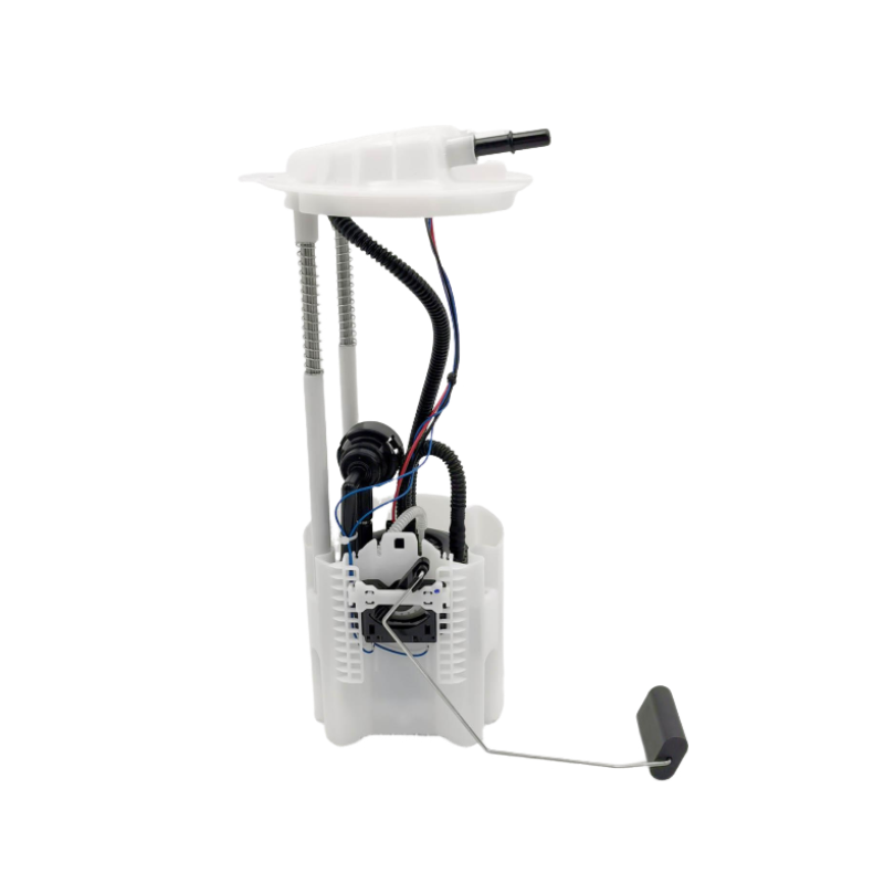 Fuel Pump Assembly for 09-10 Dodge Ram 1500 E7252M 68050962AB 68060160AA FG0889 FP22047S P76702M D7056M SP705 6ME7252M 6805096
