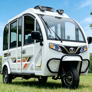 Tricycle électrique de luxe pour excursions touristiques, 3 places, cabine fermée, 1000W, 400kg, certifié EEC/DOT pour les excursions en ville - Product Image 4