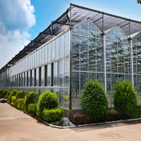 Serre à travées multiples de type Venlo-Grande serre transparente en verre trempé pour la culture commerciale de légumes/agricoles