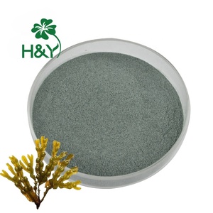 Healthway ผงห่อกระเพาะปัสสาวะสกัดผง - Product Image 1