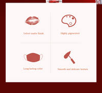 Rouge à lèvres liquide mat velours longue tenue anti-transfert, effet crème, personnalisable avec votre logo – Marque privée