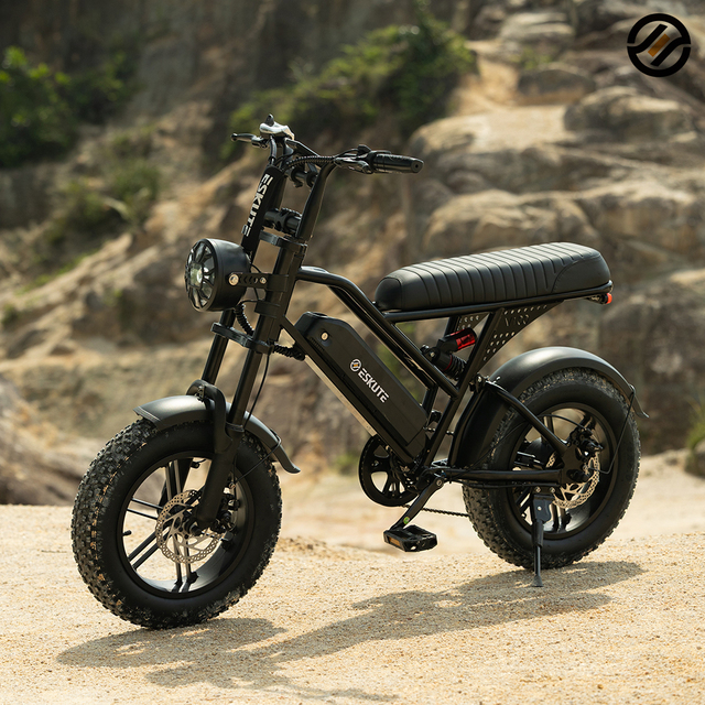Long Range Electric Motorbike 2025 Electric Bike Electrically Mountain Fatbike 16inch Fat Tire Ebike Electric Bike Customized