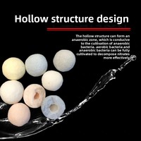 Billes de quartz creuses : support filtrant biologique pour aquarium, culture de nano-bactéries et purification de l'eau