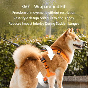 Nylon-Geschirr-Set für Hunde: Verstellbares, bequemes, luxuriöses und individuell anpassbares Set aus Halsband, Leine und Geschirr für Outdoor-Spaziergänge – umweltfreundlich - Product Image 3