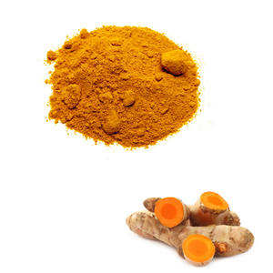 Proveedores Mayoristas de Extracto de Cúrcuma 100% Puro en Polvo de la India, Exportador a Granel de Polvo de Cúrcuma - Product Image 5