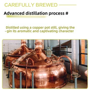 <span class=keywords><strong>Gin</strong></span> Baraka all'Ingrosso |   40% ABV, <span class=keywords><strong>Colore</strong></span> Chiaro, Sapore Bilanciato per l'Industria dell'Ospitalità - Product Image 3