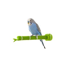 Support pour perroquet en bambou personnalisé avec bouton de ponçage des griffes et perchoir fixe, adapté aux calops et aux agapornis