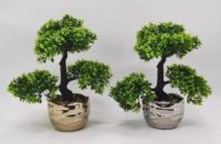 Bonsaï Offre Spéciale pour la décoration de table Bonsaï naturel pour l'intérieur et l'extérieur de l'hôtel