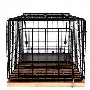 Grande cage piège à rongeurs robuste pour la capture de souris et de rats, idéale pour la lutte antiparasitaire intérieure et extérieure - Product Image 4