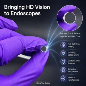 <span class=keywords><strong>Lentille</strong></span> optique <span class=keywords><strong>rigide</strong></span> pour endoscope 6.00x46mm, <span class=keywords><strong>lentille</strong></span> optique pour laparoscope, <span class=keywords><strong>lentille</strong></span> optique en verre, <span class=keywords><strong>prix</strong></span> usine, haute qualité, OEM - Product Image 2
