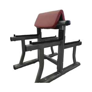 <span class=keywords><strong>Banc</strong></span> <span class=keywords><strong>de</strong></span> <span class=keywords><strong>musculation</strong></span> professionnel pliable en métal à hauteur réglable pour la <span class=keywords><strong>musculation</strong></span> unisexe 840x1200x1170 - Product Image 1