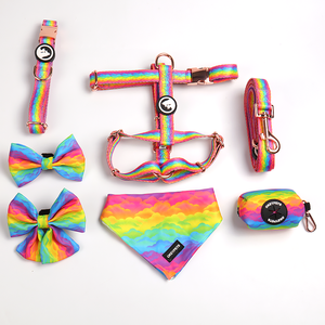 Migliore moda Custom arcobaleno Logo colorato modello poliestere di lusso Pet cane collo papillon per collare - Product Image 6