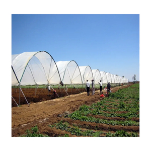 Good Quality <strong>Poly</strong> Tunnel Green House Low Cost Hot Sale Polytunnel Berry <strong>Greenhouse</strong> - Product Image 1