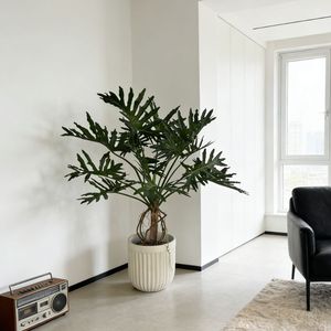 <span class=keywords><strong>ต้น</strong></span>ไม้ปลอมฟิโลเดนดรอนพรีเมียมในกระถางปูนซีเมนต์ ตกแต่งบ้าน สำนักงาน โรงแรม สไตล์โมเดิร์น เหมือนจริง - Product Image 5