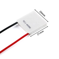 TEC1-04901 04902 04903 04905 04906 refroidisseur thermo électrique Peltier 40*40MM 12V 5V Module d'élément Peltier