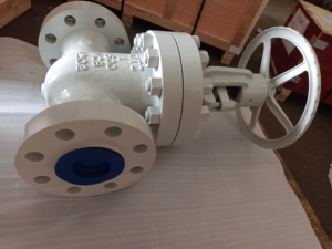 Domos DMS api600 áp lực cao Carbon thép cơ thể TRIM No.5 cổng van <span class=keywords><strong>HS</strong></span> mã <span class=keywords><strong>8481804090</strong></span> - Product Image 4