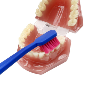YOUYA DENTAL Lot de 5 brosses à dents orthodontiques ultra-douces à manche en plastique, taille standard, pour adultes, hommes, femmes, soin des gencives sensibles, usage domestique - Product Image 3