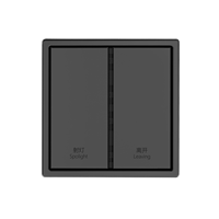 Interrupteur mural intelligent KNX 2 gangs 2 commandes avec construction métallique, télécommande, domotique pour usage domestique